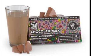 Mushroom Chocolate