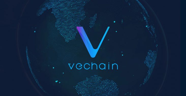 A Beginner's Guide - VeChainThor Blockchain Explained