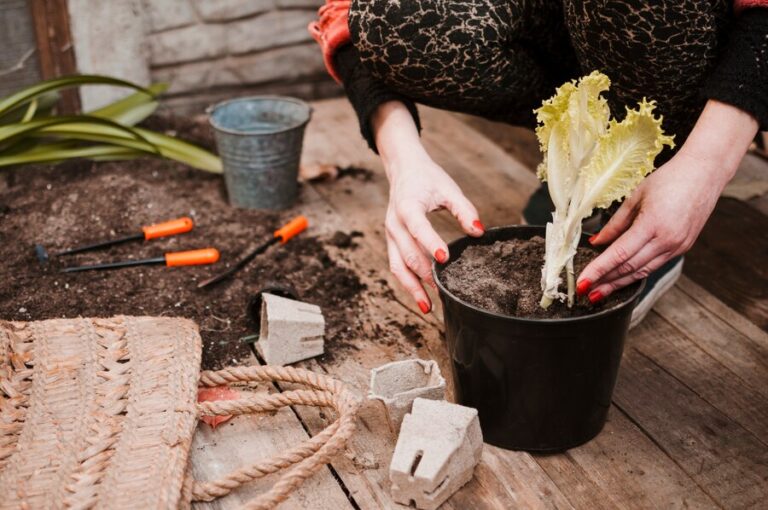 Why Mulch Matters