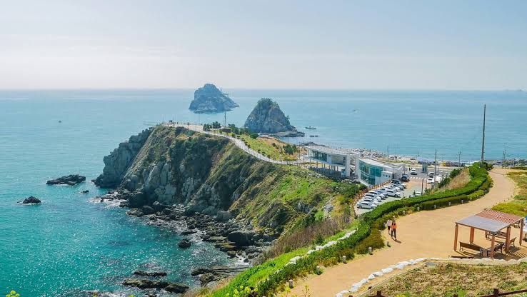 Exploring the Top OP Services in Busan