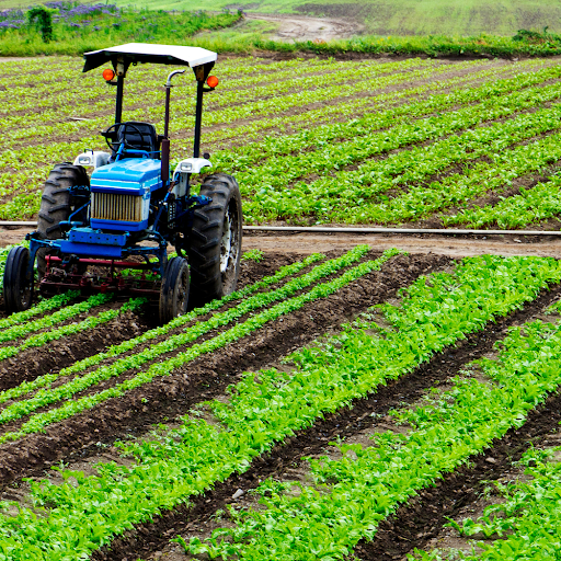 Why is Agriculture important for Pakistan’s Economy?