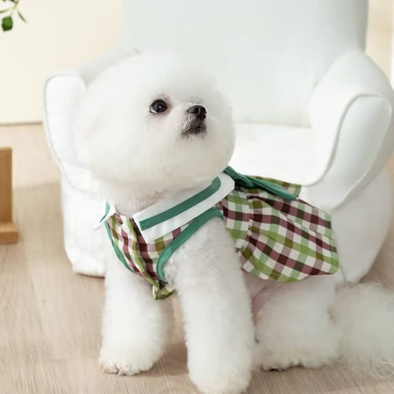 Pomeranian Clothes: Stylish and Functional Fashion for Your Furry Friend