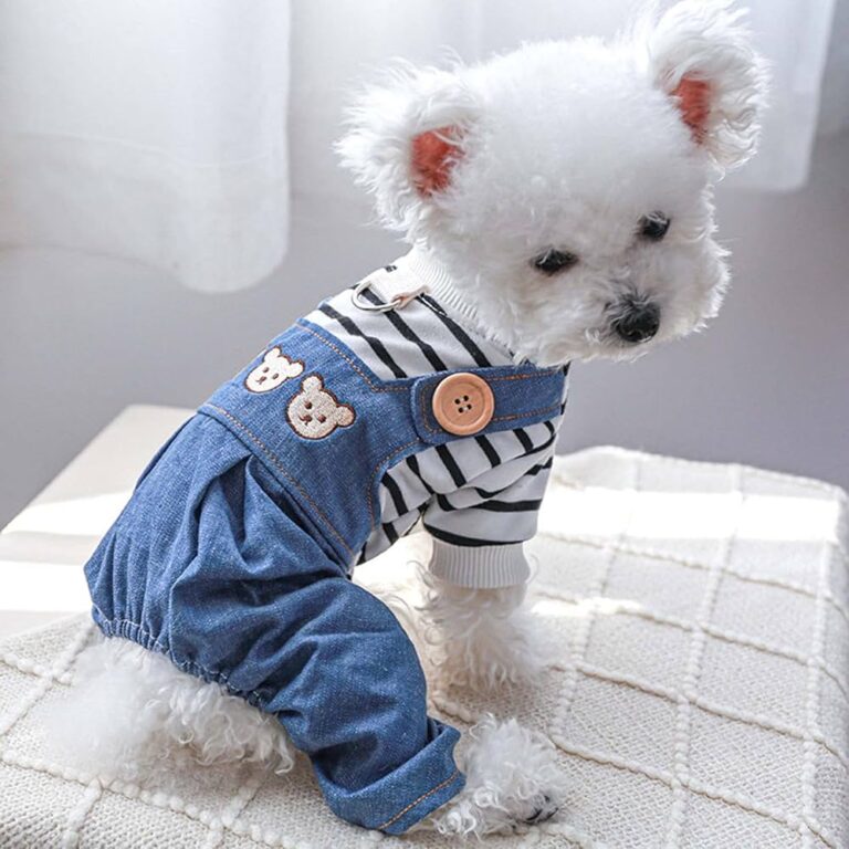 Clothes for Small Boy Dogs: A Trendy and Practical Solution for Your Pup